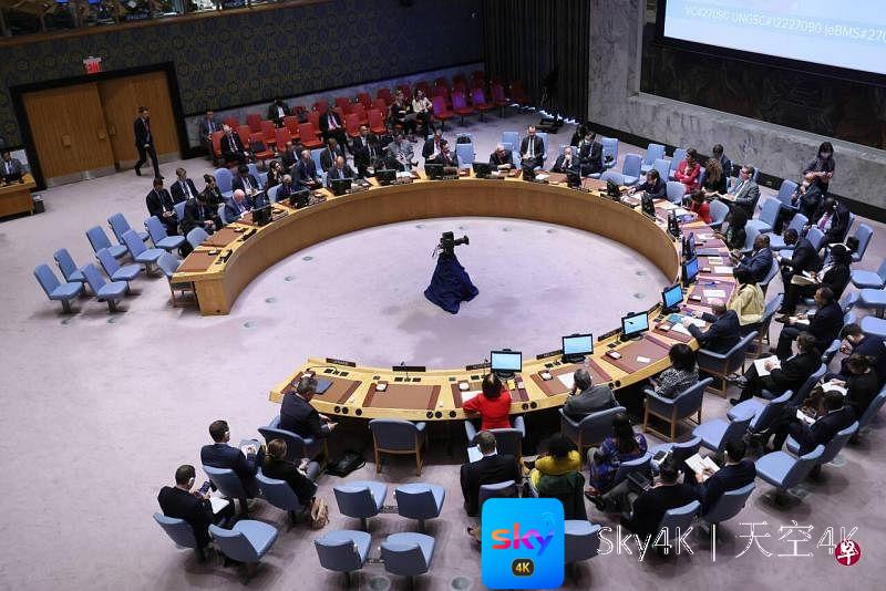 联合国安理会将进行表决谴责入俄公投