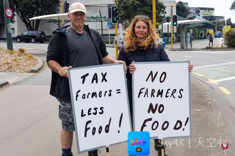 新西兰农民上街抗议“打嗝税”