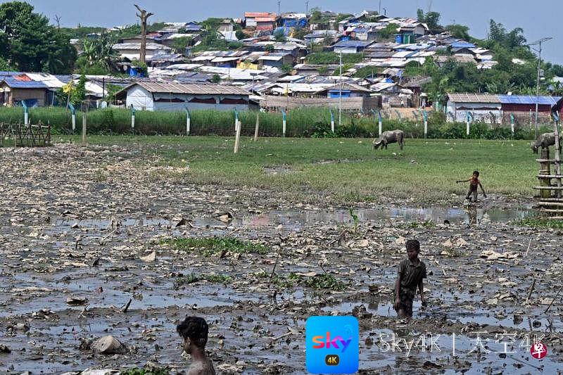 联合国难民署呼吁缅甸邻国停止强制遣返缅甸国民